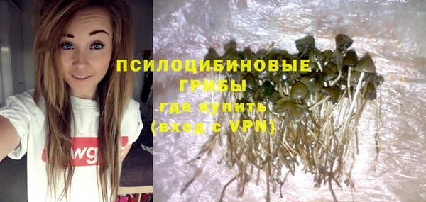 прущие крисы Козельск