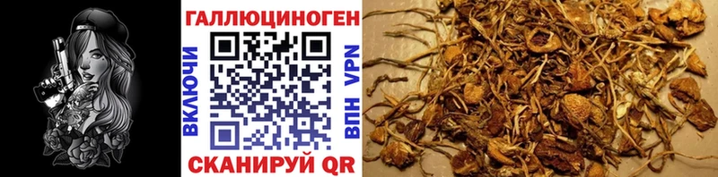 Псилоцибиновые грибы Magic Shrooms  Палласовка 